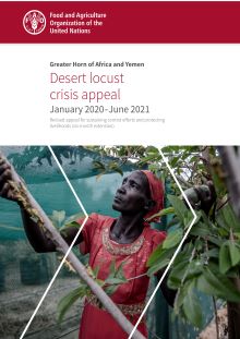 Greater Horn of Africa and Yemen | Desert locust crisis appeal January 2020 – June 2021